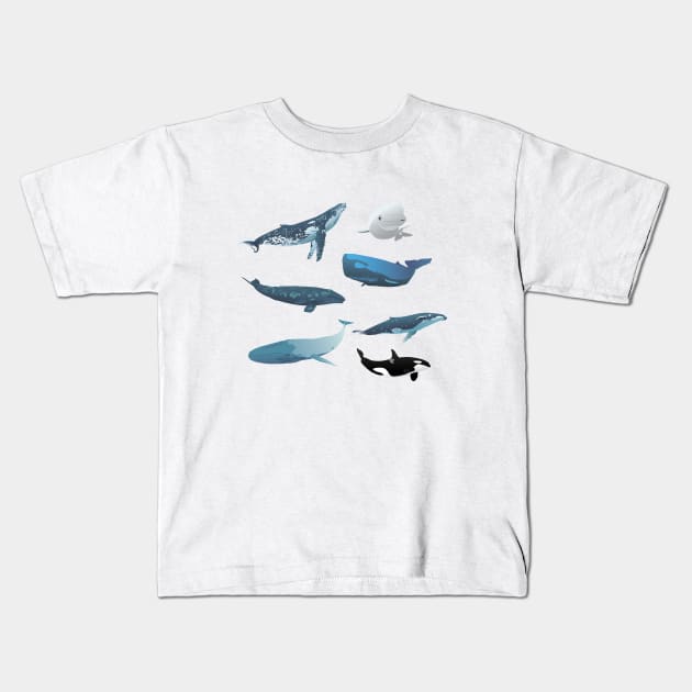 Various Whales Kids T-Shirt by NorseTech